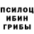 Галлюциногенные грибы GOLDEN TEACHER knubaTV