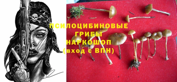 соль курить ск Абаза