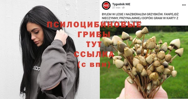 соль курить ск Абаза